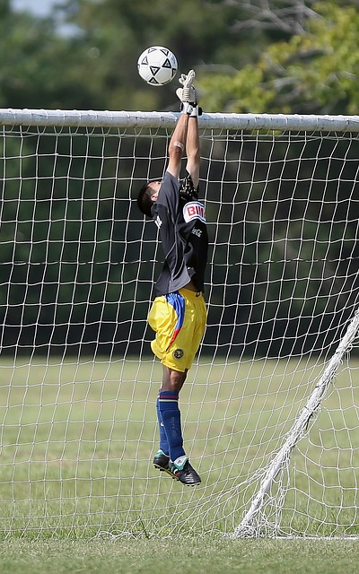 的华丽篇章 的华丽篇章