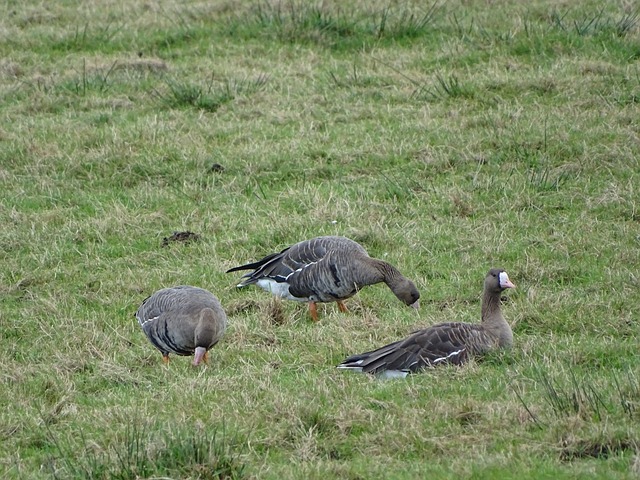 了教练组和 了教练组和