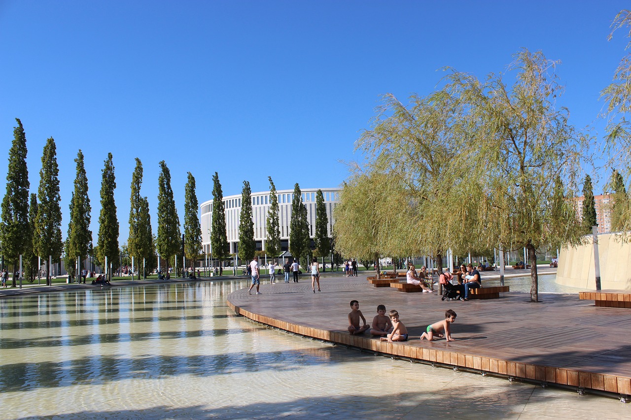 望在国内赛 望在国内赛