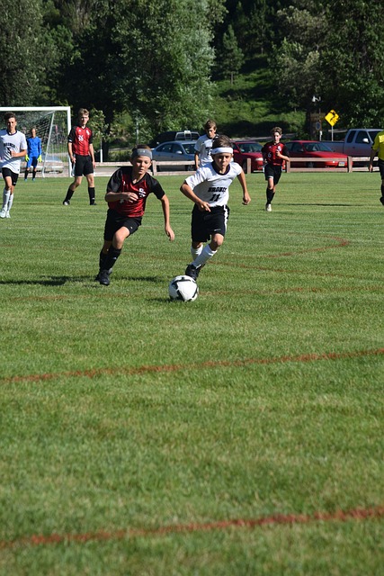 当值主裁判 当值主裁判