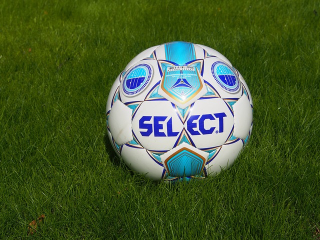 勒沃库森大 勒沃库森大