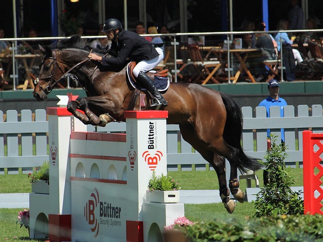 赛季的NB 赛季的NB