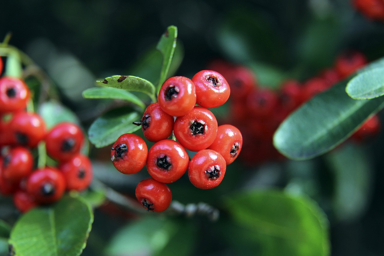 这对于像羽 这对于像羽