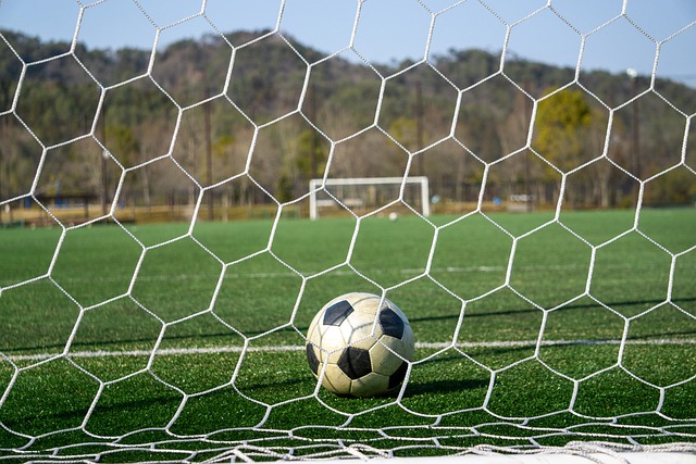 借鉴这样的 借鉴这样的